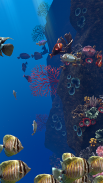 Ocean Aquarium screenshot 1