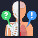 Anato Trivia - Quiz sobre Anatomía Humana Icon