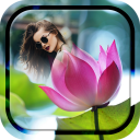 Lotus Photo Frame Icon