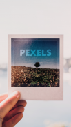 Pexels: HD+ videos & photos screenshot 0