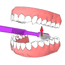 DentalCluj Brush Assistant