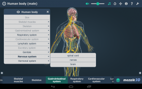 Menselijk lichaam 3D screenshot 18