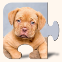 Dogs & Puppies Puzzles Icon