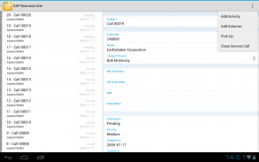 SAP Business One screenshot 2