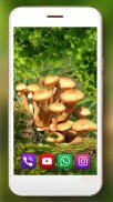 Forest Berries and Mushrooms Live Wallpaper screenshot 4