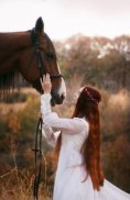 Horses Wallpapers screenshot 11