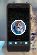 Kitten Clock Live Wallpaper screenshot 4