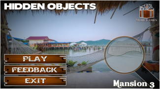 Hidden Objects Mansion 3 screenshot 6