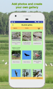 Birdwatching Logs lite screenshot 6