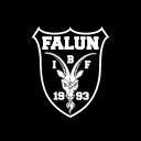 IBF Falun Icon