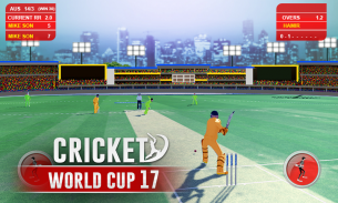 Cricket Cup screenshot 2