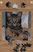 Jogos de Quebra Cabeça Gatos screenshot 3