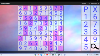 16x16 Sudoku Challenge HD screenshot 8