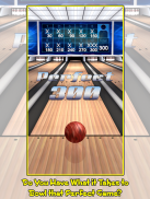 Action Bowling 2 screenshot 0