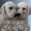 Quiz de culture générale sur les races de chiens Icon