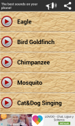 Animal Ringtones screenshot 3