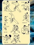 martial arts techniques screenshot 2