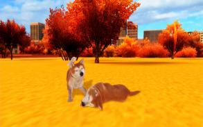 Akita Dog Simulator screenshot 5