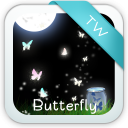 Butterfly Theme