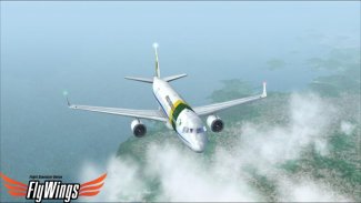 Weather Flight Sim Viewer screenshot 3