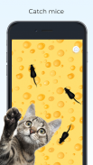 Meow - Jeux Jouet Pour Chat screenshot 13