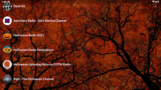 Rádio Halloween screenshot 5