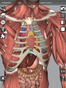 3D Bones and Organs (Anatomy) screenshot 8