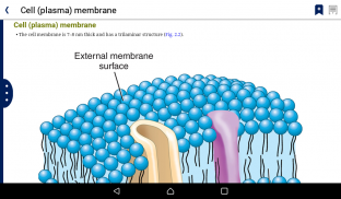 MedEnact screenshot 12