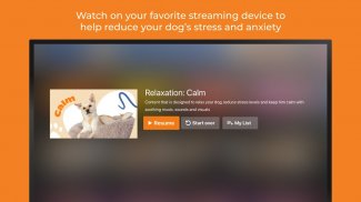 DOGTV: Television for dogs screenshot 10