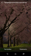 Spring Cherry Blossom Live Wallpaper FREE screenshot 3