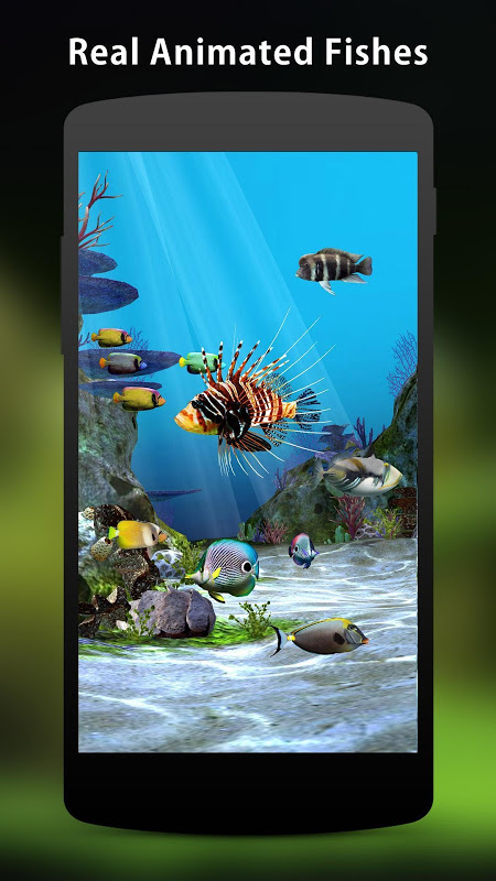Aquarium Fish Live Wallpaper for Android  Download  Cafe Bazaar