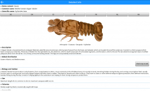 MadeiraFish screenshot 10