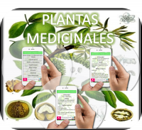 Plantas Medicinales screenshot 2