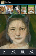 Zooface - GIF Animal Morph screenshot 3