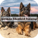 German Shepherd Training