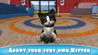 Daily Kitten : आभासी बिल्ली screenshot 0