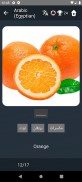 Egyptian Arabic Language Tests screenshot 20