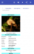 Genera of fungi screenshot 5
