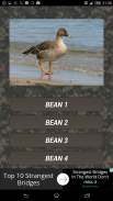 Goose hunting Calls screenshot 1