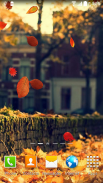 Autumn Wallpaper screenshot 11