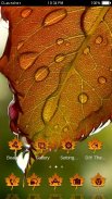 Dew Drops on Leaves Theme screenshot 3