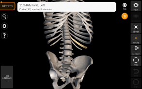 Scheletro | Anatomia 3D screenshot 8