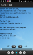 Messianic Worship Songs screenshot 3