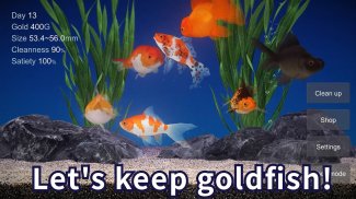 Goldfish 3D Relaxing Aquarium screenshot 3