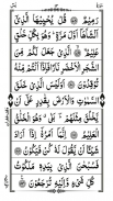 Read Surah Yaseen screenshot 5