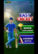 Easy Cricket: Challenge screenshot 8