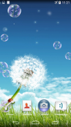 Soap Bubbles Live Wallpaper screenshot 2