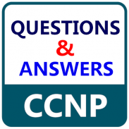CCNP Question & Answer screenshot 5