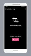 Smart Video Crop - Crop any part of any video screenshot 4