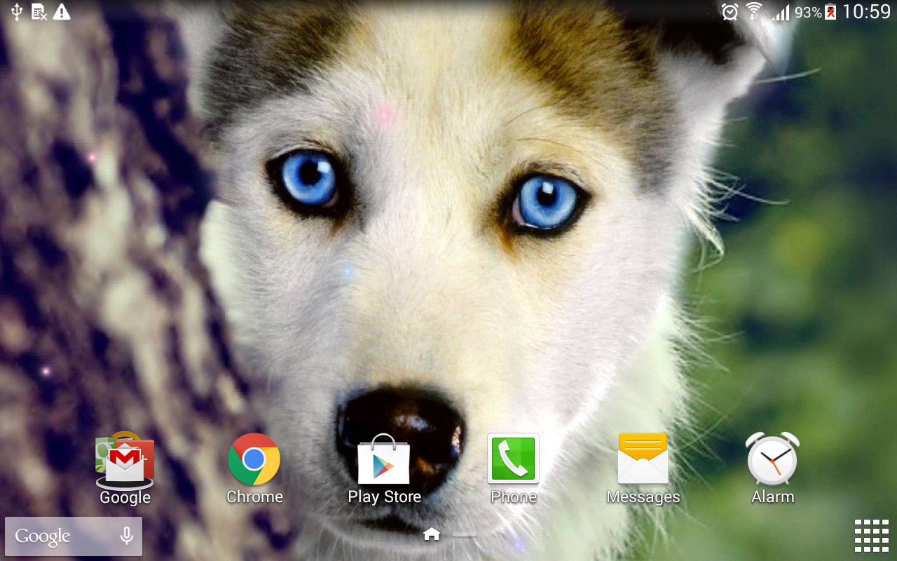 Собаки Живые Обои - Загрузить APK для Android | Aptoide